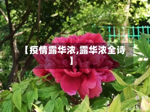 【疫情露华浓,露华浓全诗】-第2张图片