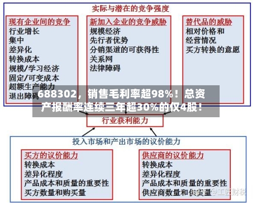 688302，销售毛利率超98%！总资产报酬率连续三年超30%的仅4股！-第2张图片