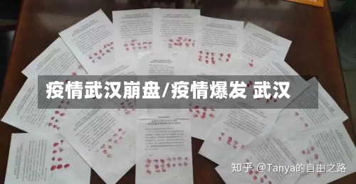 疫情武汉崩盘/疫情爆发 武汉-第2张图片