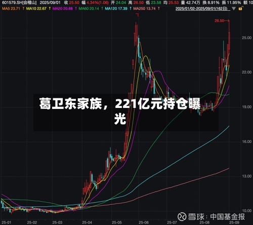 葛卫东家族	，221亿元持仓曝光-第2张图片