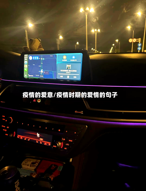 疫情的爱意/疫情时期的爱情的句子