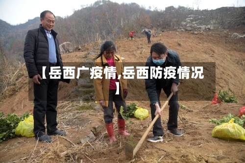 【岳西广疫情,岳西防疫情况】