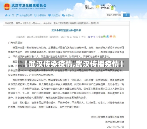 【武汉传染疫情,武汉传播疫情】
