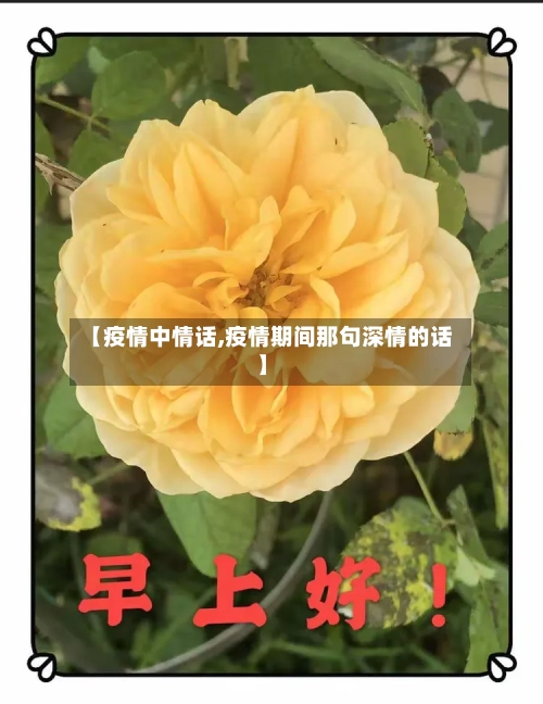 【疫情中情话,疫情期间那句深情的话】-第2张图片
