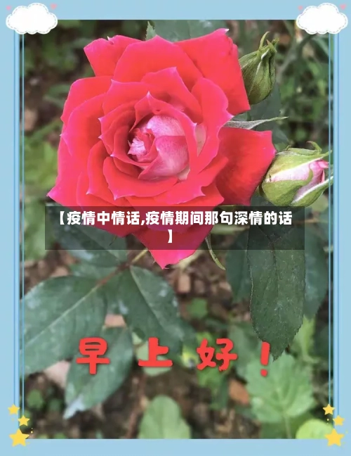 【疫情中情话,疫情期间那句深情的话】-第3张图片
