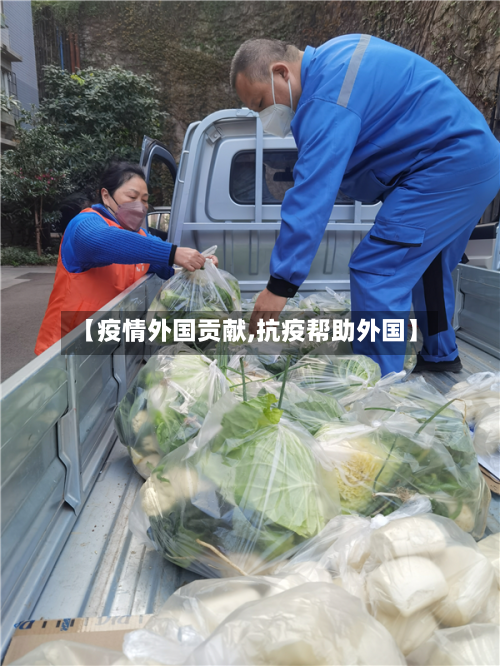 【疫情外国贡献,抗疫帮助外国】