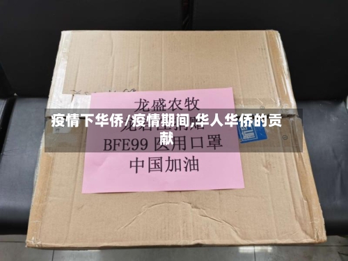 疫情下华侨/疫情期间,华人华侨的贡献-第2张图片