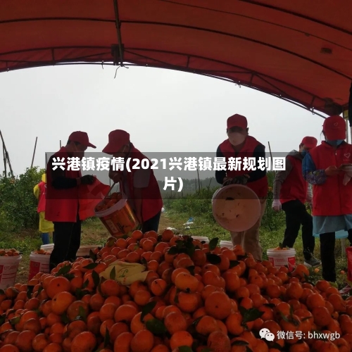 兴港镇疫情(2021兴港镇最新规划图片)