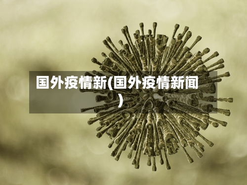 国外疫情新(国外疫情新闻)-第2张图片