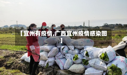 【宜州有疫情,广西宜州疫情感染图】