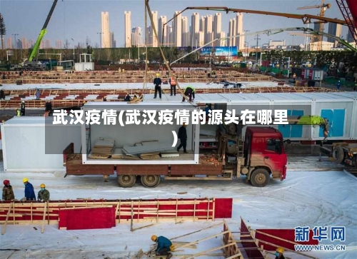武汉疫情(武汉疫情的源头在哪里)