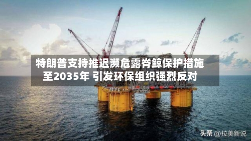 特朗普支持推迟濒危露脊鲸保护措施至2035年 引发环保组织强烈反对-第2张图片