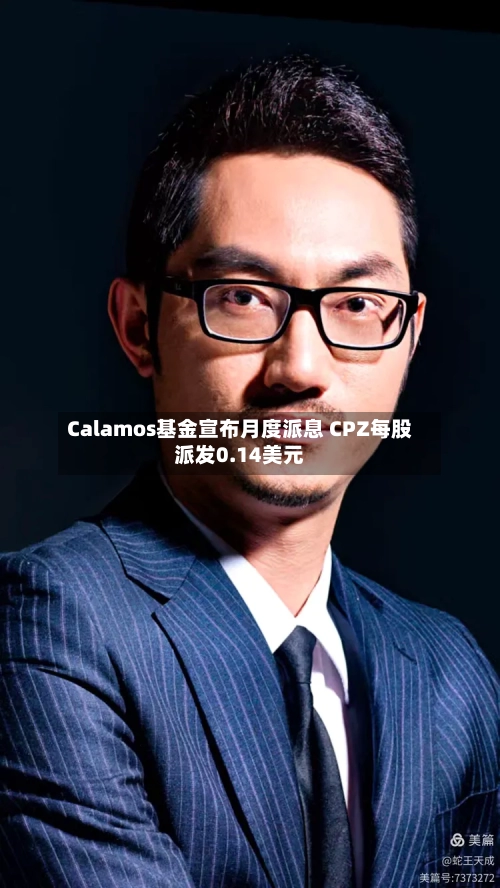 Calamos基金宣布月度派息 CPZ每股派发0.14美元