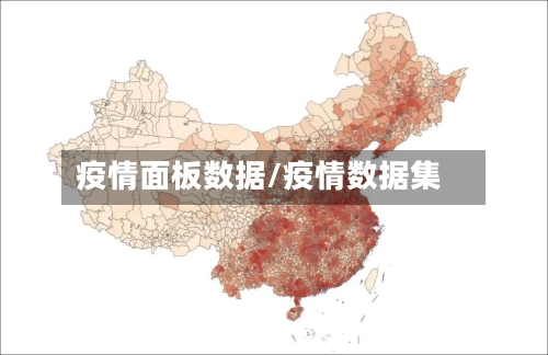 疫情面板数据/疫情数据集
