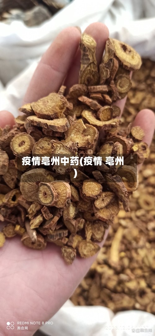 疫情亳州中药(疫情 亳州)-第3张图片