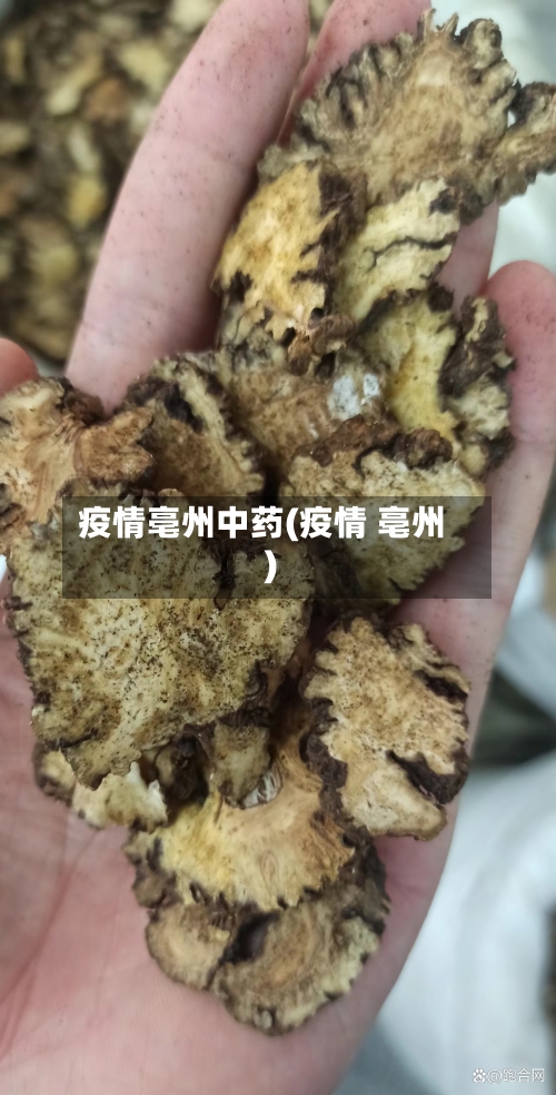 疫情亳州中药(疫情 亳州)