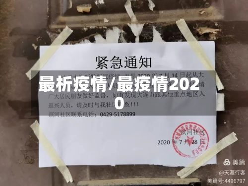 最析疫情/最疫情2020
