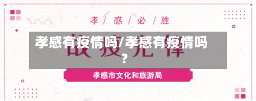孝感有疫情吗/孝感有疫情吗?-第2张图片