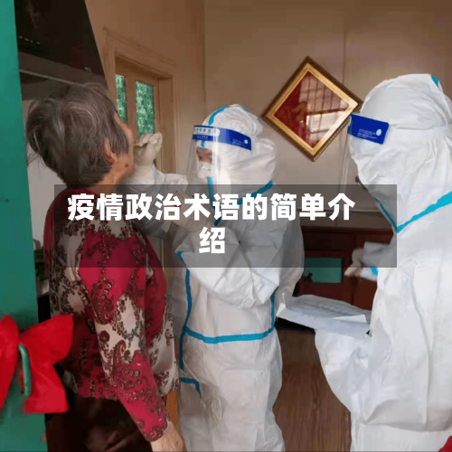 疫情政治术语的简单介绍-第2张图片