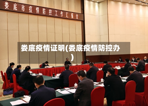 娄底疫情证明(娄底疫情防控办)