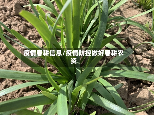 疫情春耕信息/疫情防控做好春耕农资