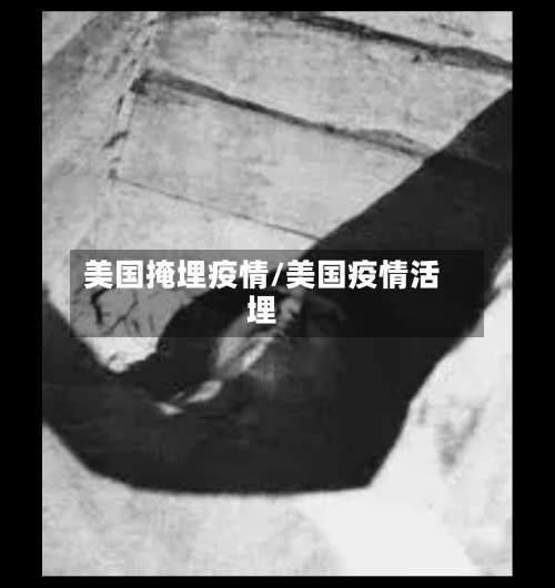 美国掩埋疫情/美国疫情活埋-第2张图片