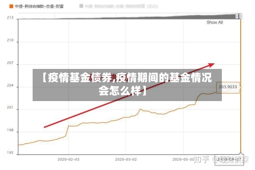 【疫情基金债券,疫情期间的基金情况会怎么样】-第3张图片