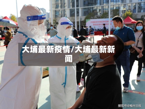 大埔最新疫情/大埔最新新闻-第3张图片