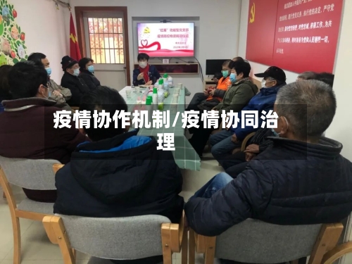 疫情协作机制/疫情协同治理-第2张图片