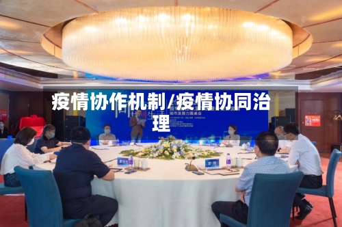 疫情协作机制/疫情协同治理