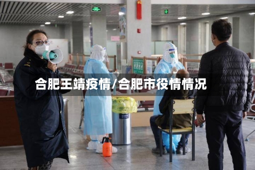 合肥王靖疫情/合肥市役情情况-第2张图片