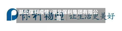 湖北保利疫情/湖北保利集团有限公司-第2张图片