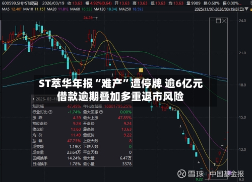 ST萃华年报“难产”遭停牌 逾6亿元借款逾期叠加多重退市风险-第3张图片