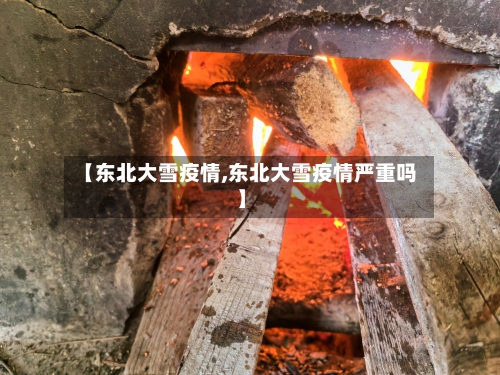 【东北大雪疫情,东北大雪疫情严重吗】