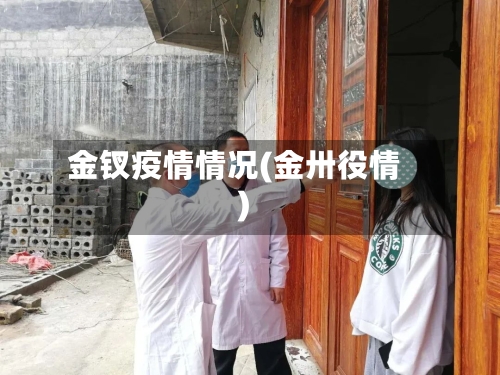 金钗疫情情况(金卅役情)-第2张图片