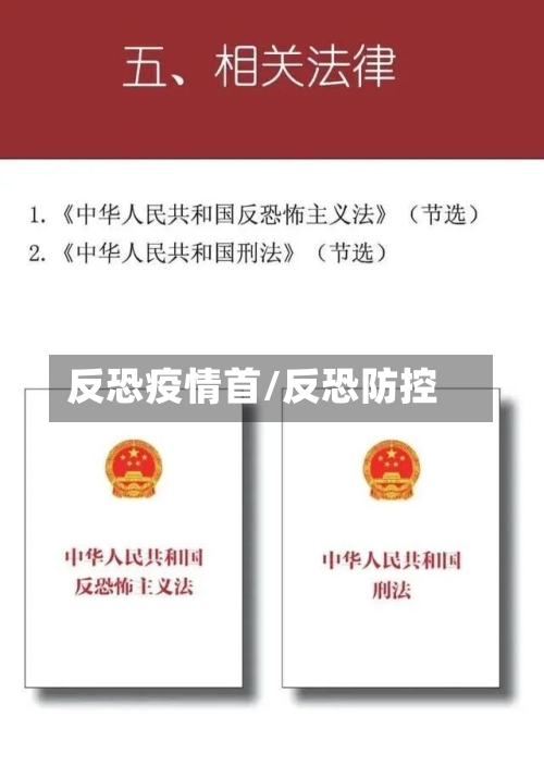 反恐疫情首/反恐防控-第3张图片