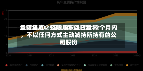 圣晖集成：控股股东圣晖世界承诺自2025年10月13日起12个月内	，不以任何方式主动减持所持有的公司股份-第2张图片